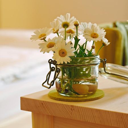 Hotel B&B "Zur Schanz" Эббс Экстерьер фото